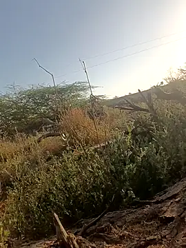 Snapshot of lovesuna chatting on 03.05.25 lovesuna online show from 03.05.25