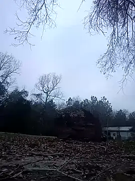 Xoc8  online show from 01.20.25