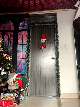 Snapshot of _Artemisa_X chatting on 12.04.24 Artemisa X online show from 12.04.24