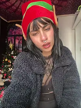 Snapshot of _Artemisa_X chatting on 12.27.24 Artemisa X online show from 12.27.24