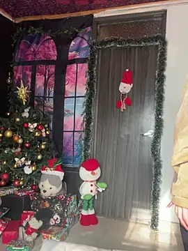 Snapshot of _Artemisa_X chatting on 12.28.24 Artemisa X online show from 12.28.24