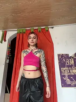 Snapshot of _Artemisa_X chatting on 02.20.25 Artemisa X online show from 02.20.25