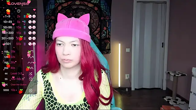 Project hisoka online show from 02.01.25