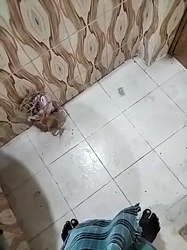 bas1cooks online show from 09.30.25