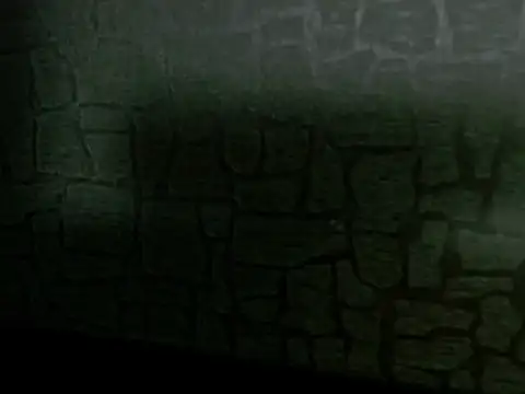 Lilyevansx online show from 10.12.25