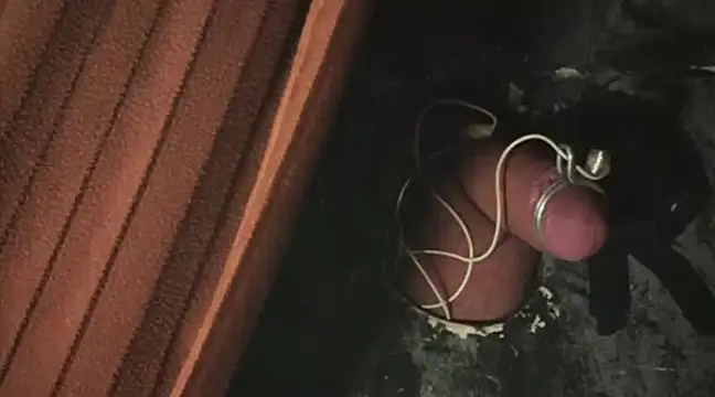 Snapshot of TweakyDude chatting on 03.18.25 TweakyDude online show from 03.18.25