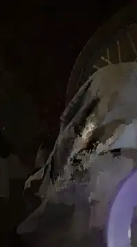 nowex18 online show from 02.26.25