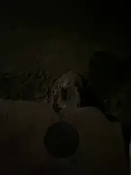 nowex18 online show from 03.14.25