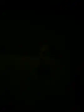 nowex18 online show from 03.18.25