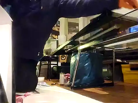 Snapshot of 0815lukas2024 chatting on 12.07.24 0815lukas2024 online show from 12.07.24