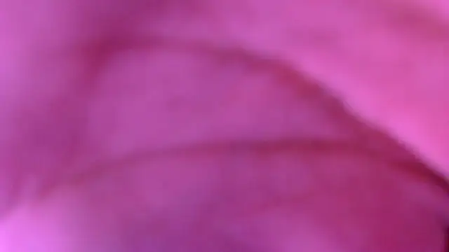 xxxxxchiaratsxxxxx online show from 03.08.26