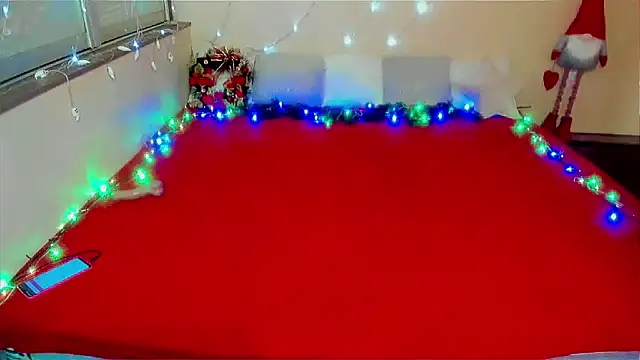 Snapshot of LizaSenri chatting on 12.11.24 LizaSenri online show from 12.11.24