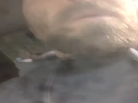 Snapshot of jwiththethickone413 chatting on 11.17.25 jwiththethickone413 online show from 11.17.25