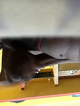 Snapshot of Tamil_boy_age28 chatting on 01.12.26 Tamil boy age28 online show from 01.12.26