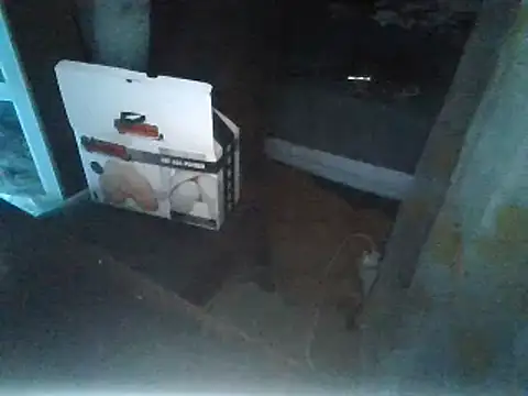 rubiomdz online show from 01.15.25