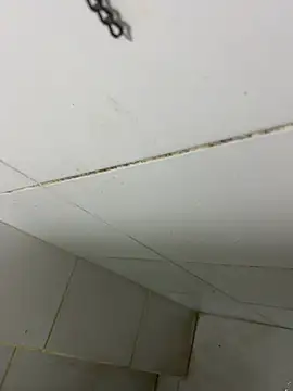 thfrances online show from 02.27.26