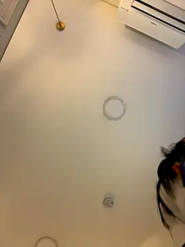 IrisBaker online show from 11.25.25