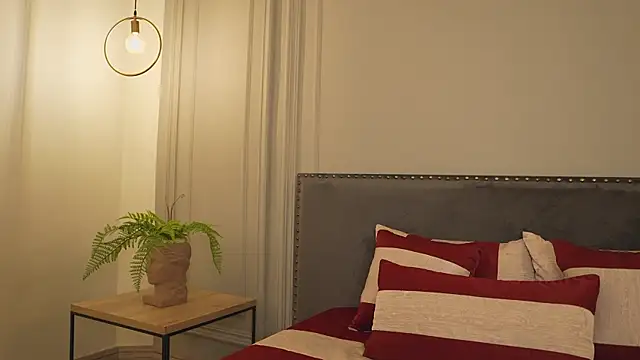 Snapshot of IrisBaker chatting on 02.19.26 IrisBaker online show from 02.19.26