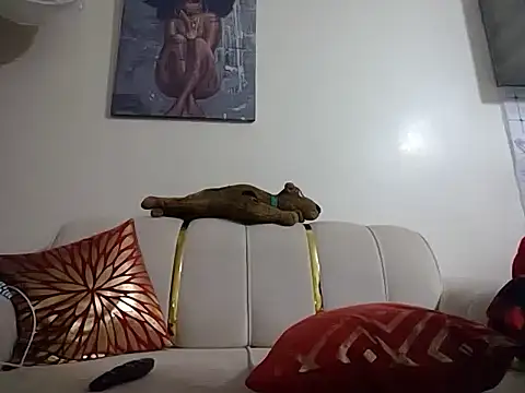 hoely grail01 online show from 04.07.26