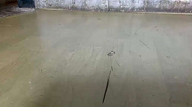 itstherahul online show from 02.17.25