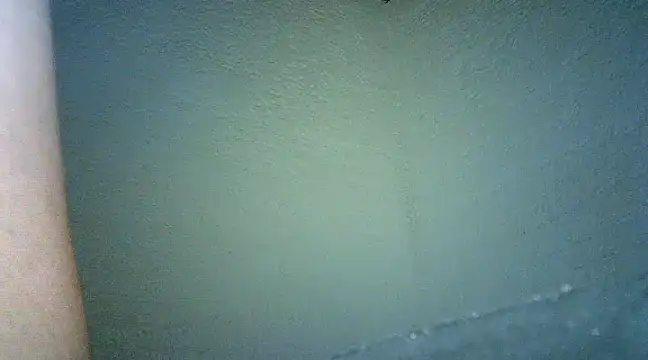 Bellabeltrann online show from 01.25.25