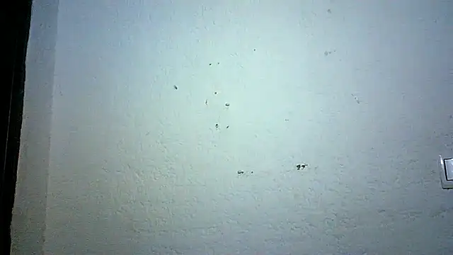 Bellabeltrann online show from 10.03.25