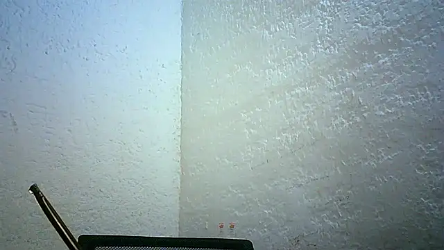 Bellabeltrann online show from 11.30.25