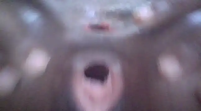 petitev online show from 01.03.25