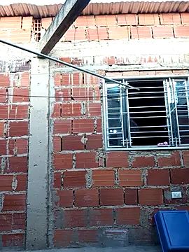 ariana d20 online show from 09.11.25