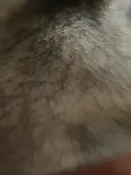 legendcock123 online show from 02.18.26