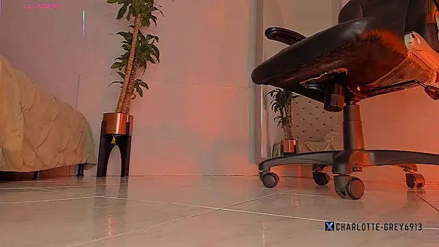 charlotte  grey online show from 11.15.25