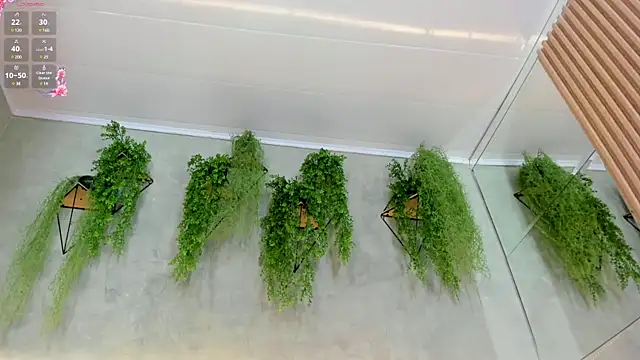 Snapshot of Lana_Lann chatting on 01.11.25 Lana Lann online show from 01.11.25