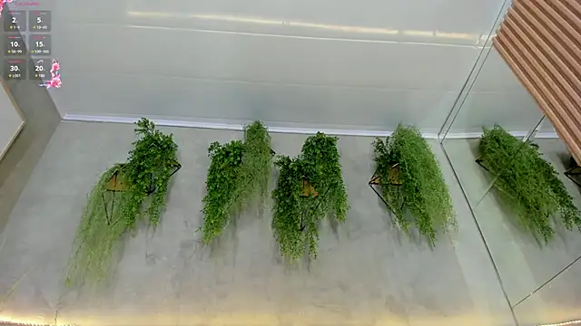 Snapshot of Lana_Lann chatting on 03.15.25 Lana Lann online show from 03.15.25