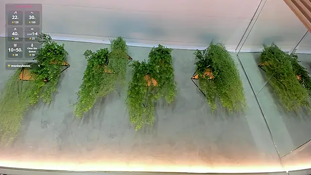 Snapshot of Lana_Lann chatting on 09.22.25 Lana Lann online show from 09.22.25