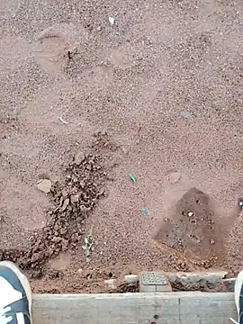 TornadoStorm35 online show from 03.30.26