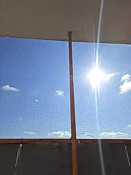 McdyllanXX online show from 03.15.25