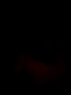 Mahi-00B online show from 01.16.26