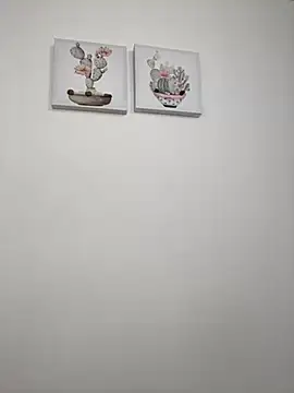 SophiaLaurens online show from 10.14.25