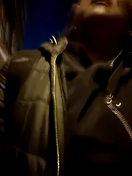 kitty 84 online show from 02.06.25