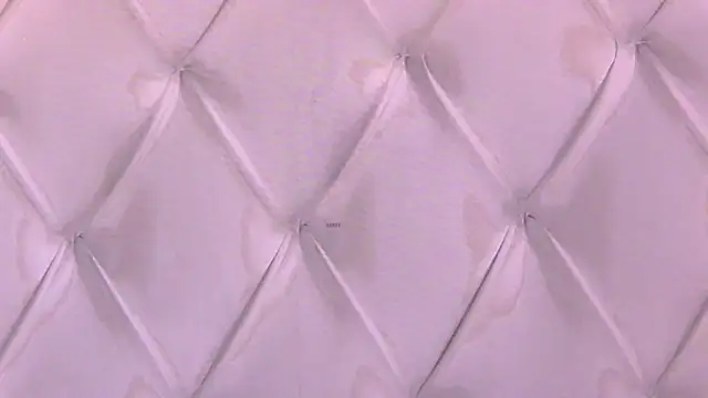 Snapshot of RissaRheys chatting on 11.21.25 RissaRheys online show from 11.21.25