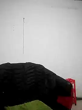 Snapshot of Rose_DiDi chatting on 02.11.25 Rose DiDi online show from 02.11.25