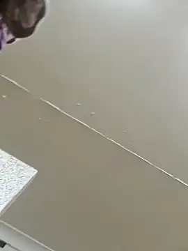 Snapshot of Off_the_Lesh chatting on 03.02.26 Off the Lesh online show from 03.02.26