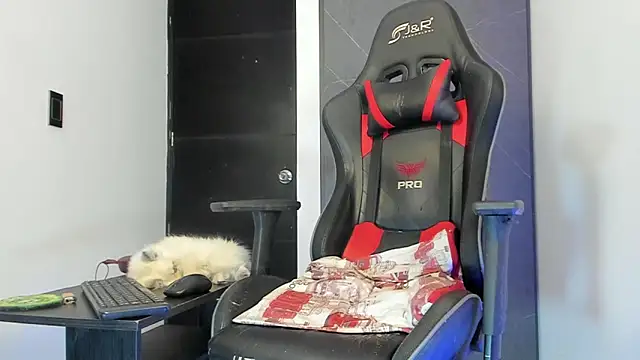 Snapshot of sergiio_mesa27 chatting on 01.25.25 sergiio mesa27 online show from 01.25.25