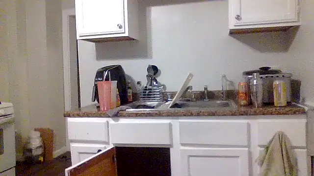 Snapshot of AllLeggs chatting on 12.31.24 AllLeggs online show from 12.31.24