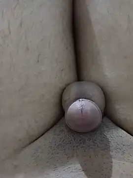SambaedViewer online show from 07.30.26