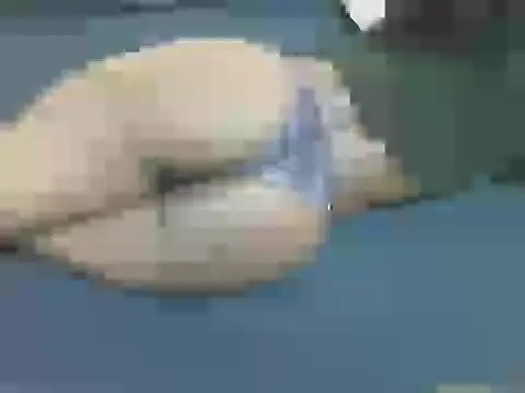 lella-0 online show from 10.16.25