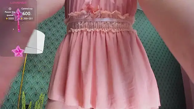 Snapshot of EvaSelin chatting on 02.13.25 EvaSelin online show from 02.13.25