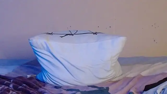 Snapshot of daiki_sx chatting on 01.08.25 daiki sx online show from 01.08.25