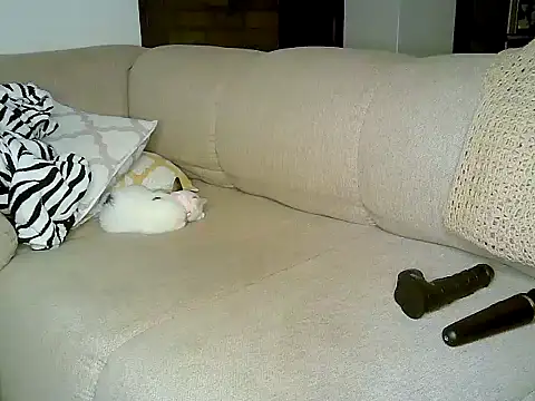 Snapshot of ebony_spicy69 chatting on 10.03.25 ebony spicy69 online show from 10.03.25