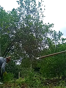 natally ross21 online show from 02.21.25